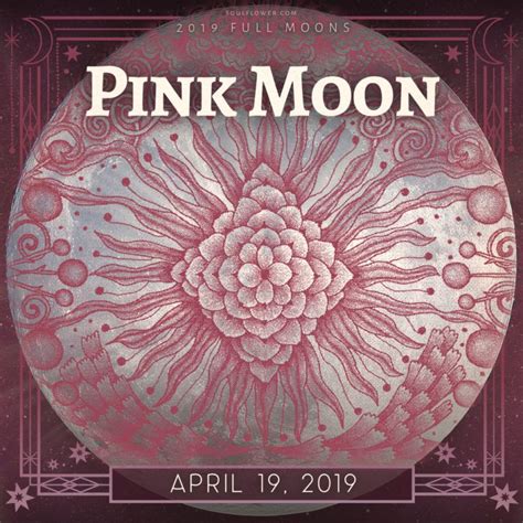 2019 Full Moon Calendar Full Moon Soul Flower Blog Moon Calendar