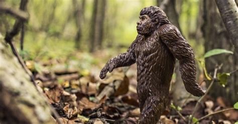‘bigfoot Sighting In North Carolina Was A ‘shaman Dressed In Animal Skins