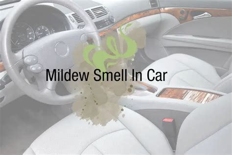 How To Get Mildew Smell Out Of Car Dc Car Care
