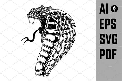 Illustration Of Cobra Snake Design Masterbundles