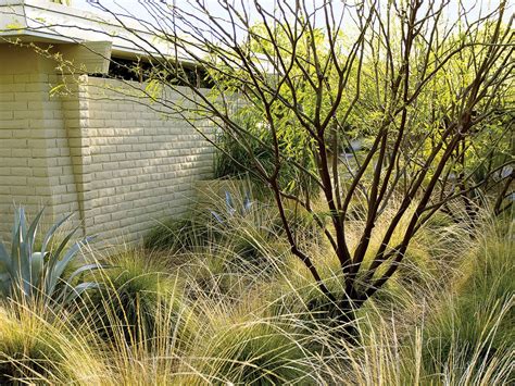 Desert Front Yard Makeover Drought Tolerant Landscape Lawn