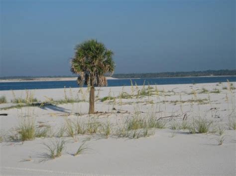 Gulf Islands National Seashore At Ocean Springs Mississippi Loyalty