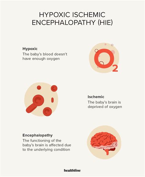 Hypoxic Ischemic Encephalopathy Causes Treatments Outlook