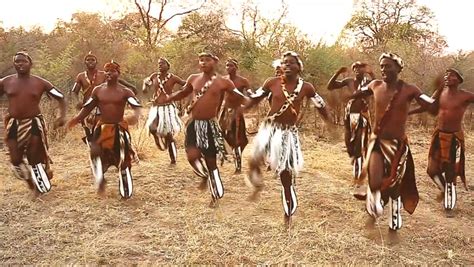 Traditionally Dressed African Tribesmen Of The Herero Tribe Dance And
