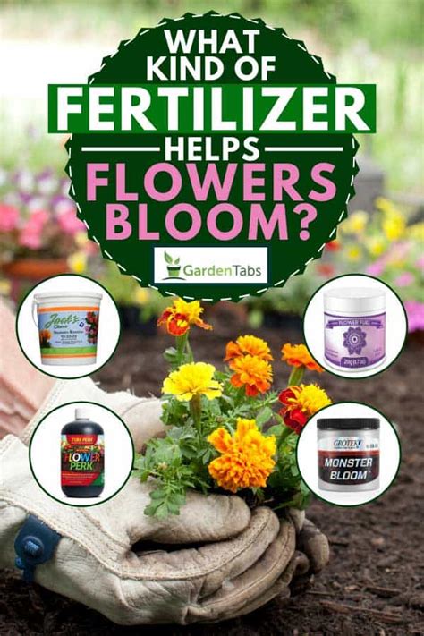 Top 7 What Fertilizer To Use To Encourage Flowering