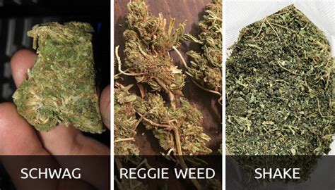 Different Grades Of Weed How High Can You Go Herbies Seeds