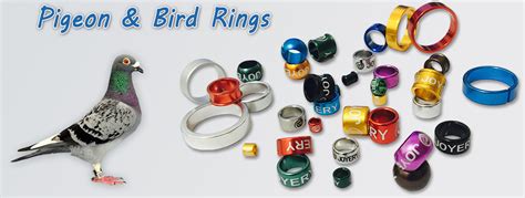 Pigeon And Bird Rings
