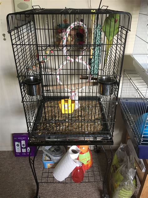 Pin By Shirley Norris On Large Bird Cage 3 Large Bird Cages Conure