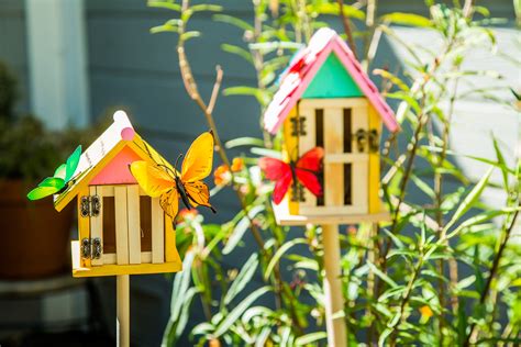Build a button online free plans to build a butterfly house. How To- DIY Butterfly House | Hallmark Channel