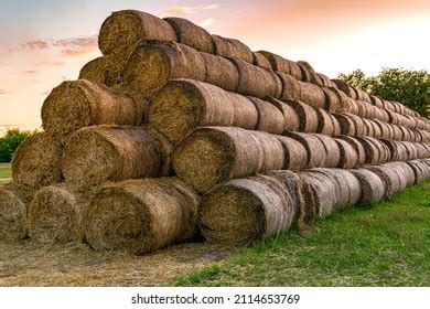 Big Pile Bales Straw Round Straw Stock Photo 2114653769 Shutterstock