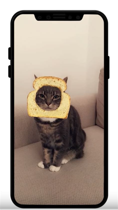Snapchat Now Has Cat Lenses Yes For Your Cat Techcrunch