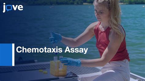 Chemotaxis Assay To Examine Microbial Behavior Protocol Preview Youtube