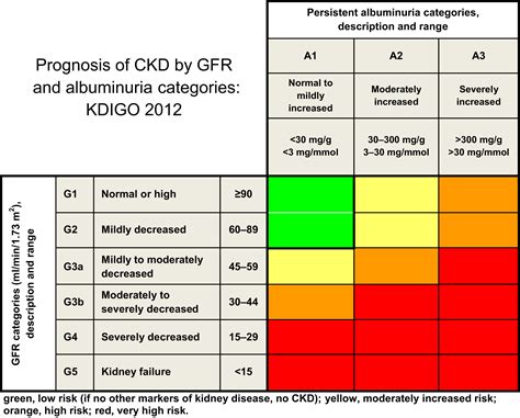 Kdigo 2017 Clinical Practice Guideline Update For The Diagnosis