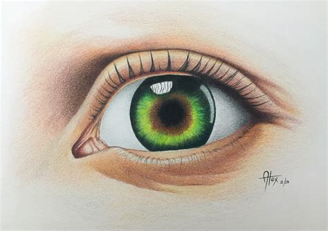 Eye Drawing In Color Pencils On Behance