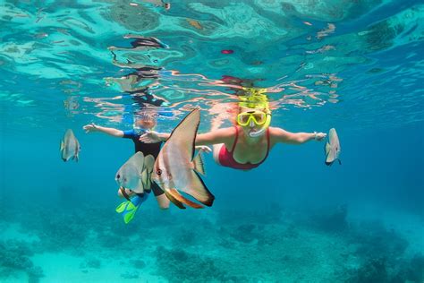 Snorkeling Equipment And Guided Underwater Tour Florida Keys