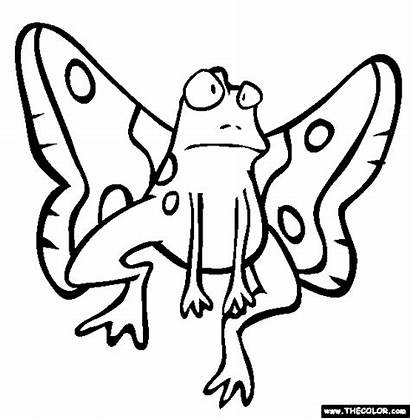 Coloring Silly Animals Pages Moth Frog