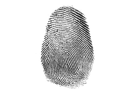Who Made Those Fingerprints The New York Times