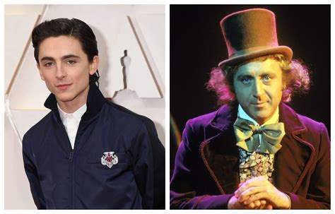 Timothee Chalamet Cast As Young Willy Wonka In Roald Dahl Prequel Film Syfy Wire