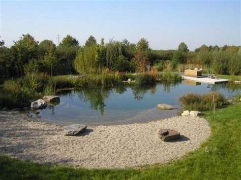 20 Natural Swimming Pools Design Ideas For The Inspiration Which Is A