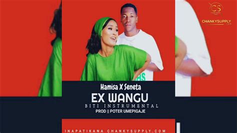 Hamisa Mobeto X Seneta Kilaka Ex Wangu Beat Instrumental Music