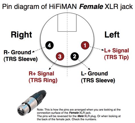 Mini xlr wiring diagram involve some pictures that related one another. Mic Wiring Xlr Jack - Wiring Diagram