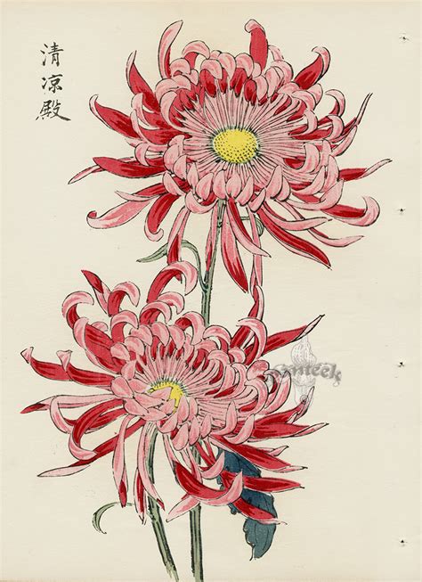 We did not find results for: from Art of the Japanese Chrysanthemum