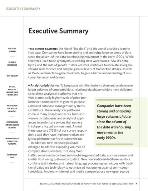 Example Of An Executive Summary Executive Summary Template Executive