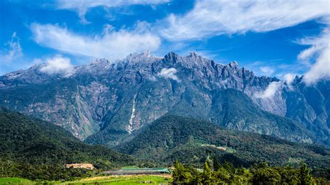 A 4,3 km de desa dairy farm. Sabah Trip: Desa Dairy Farm, Kundasang | Flickr