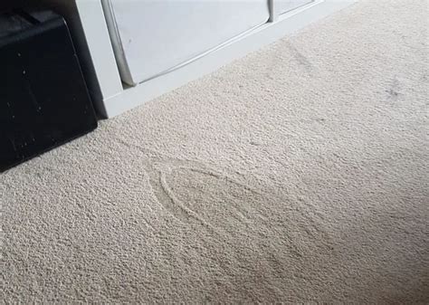 This carpet burn could have been much worse! When that iron-shaped burn mark is glaring up at you from ...