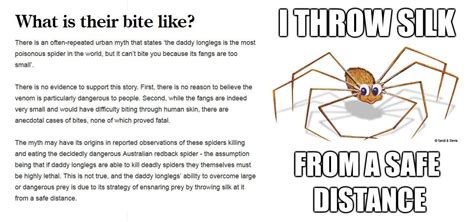 Their bodies are about 1/16 to ½ of an inch long with very long legs. TIL something about the Daddy Long-Legs spider : newzealand