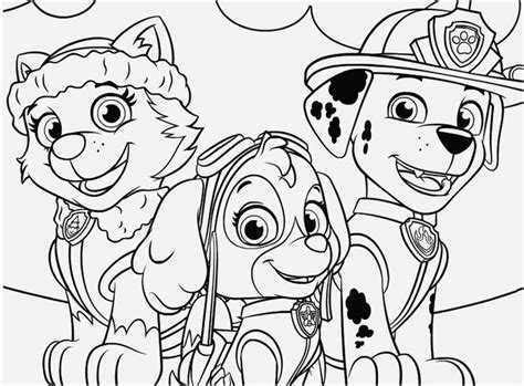 Skye And Everest Paw Patrol Coloring Page Depp My Fav