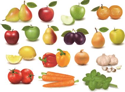 2) from the middle of the rectangle. Realistic fruit vector illustration set Free vector in ...