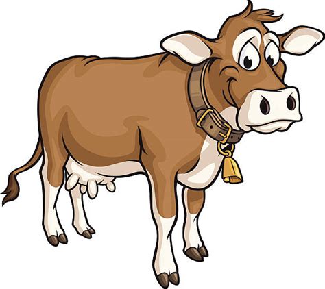 Brown Swiss Cow Illustrations Royalty Free Vector Graphics And Clip Art