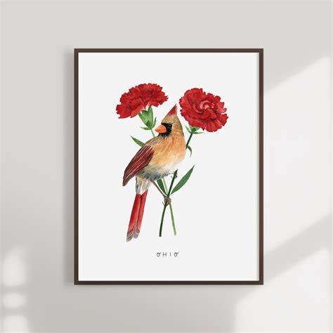 Ohio State Bird Art Print Ohio Cardinal And Carnation Etsy