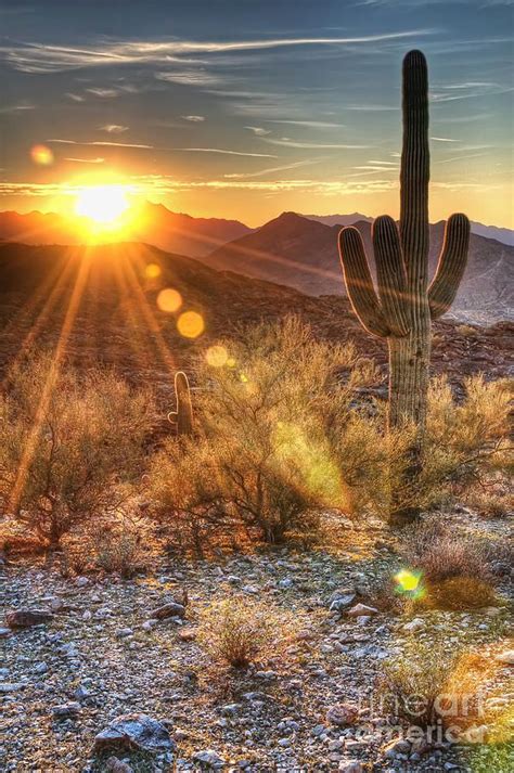 Desert Sunset By Eddie Yerkish Desert Sunset Sunrise Nature