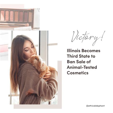 𝒱𝒾𝒸𝓉𝑜𝓇𝓎 🙌🏻 Illinois Becomes Third State To Ban Sale Of Animal Tested