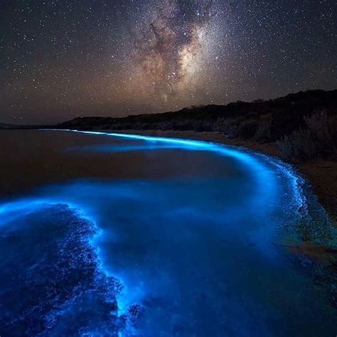 🇫🇷 Plancton Bioluminescent En Tasmanie 🔅 🇬🇧 Bioluminescent Plankton In
