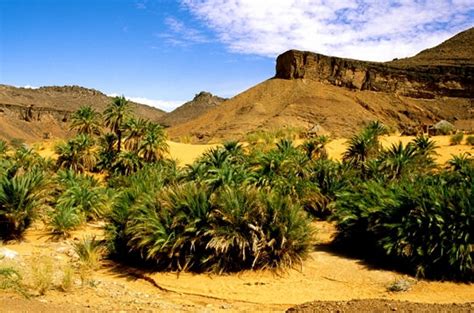 Mauritania's is a lonely beauty. Mauritania signs $1billion agricultural MoU | Medafrica Times