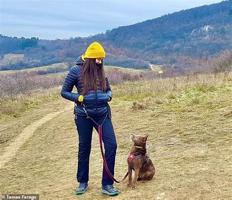 Short Snouted Dogs Are More Willing To Make Eye Contact Daily Mail Online