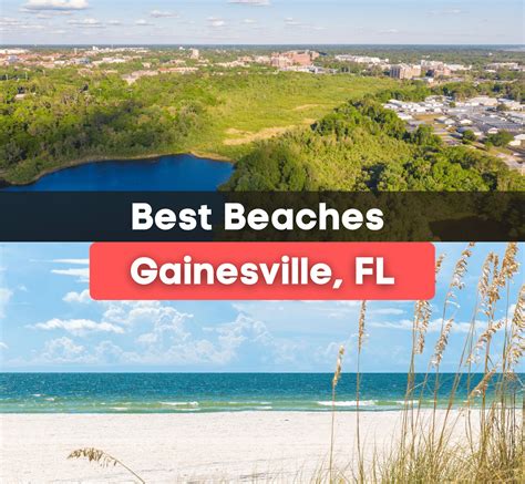 7 Best Beaches Near Gainesville Fl