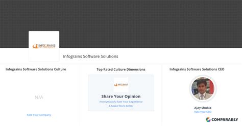 Infograins Software Solutions Culture Comparably