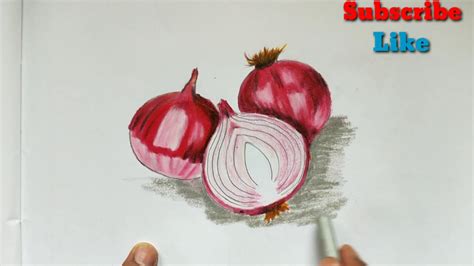 Onions Drawing For Beginners Step By Step Onion Drawing Youtube