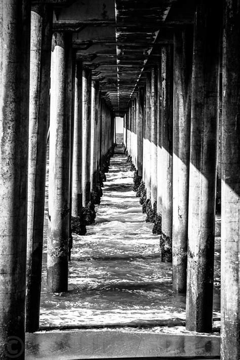 Under Huntington Beach Pier Black And White Picture Black And White