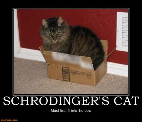 schrodinger s cat schrodingers cat humor schrodingers cat humor