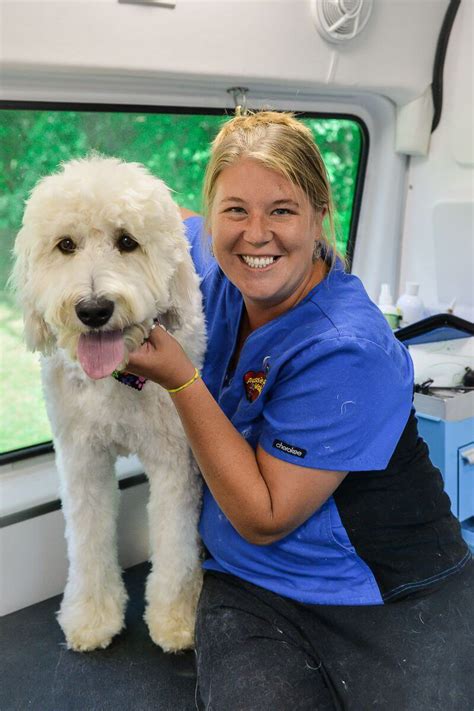 When your pet gets sick you want to do everything you can to care for them and restore their health. Photo Gallery - Aussie Pet Mobile