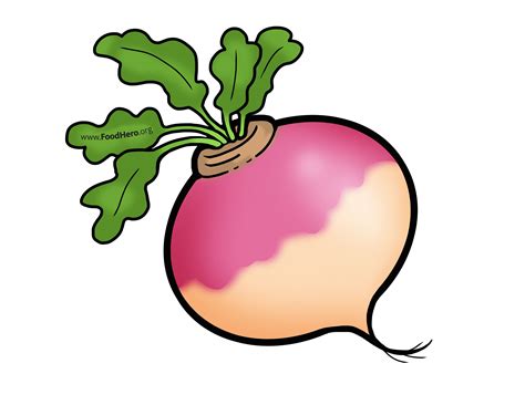 Turnip Clip Art 10 Free Cliparts Download Images On Clipground 2024