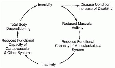 Physical Inactivity Physiological And Functional Impairments And Their