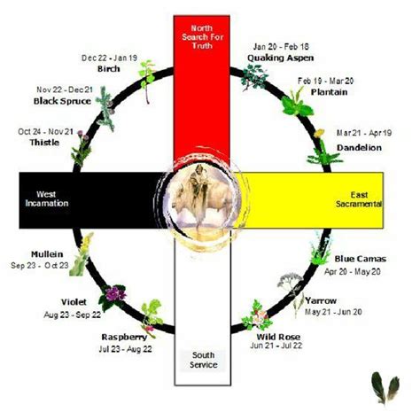 Plant Medicine Wheel Sundance Medicine Wheel Native American