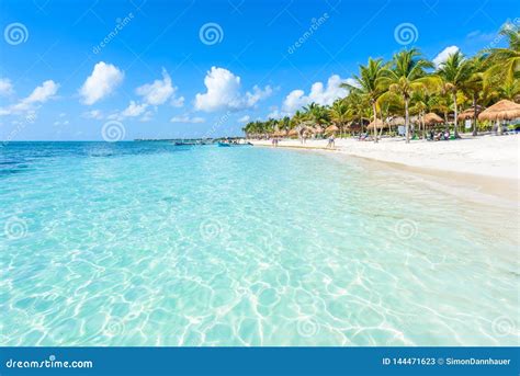Akumal Beach Paradise Bay Beach In Quintana Roo Mexico Caribbean Coast Editorial Photo