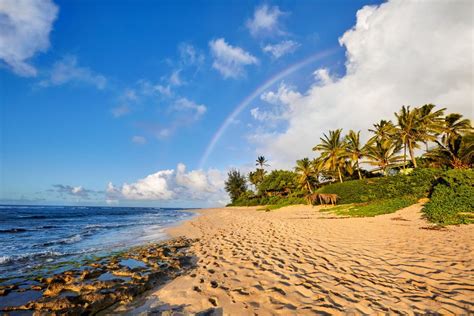 15 Best Beaches In Oahu The Crazy Tourist